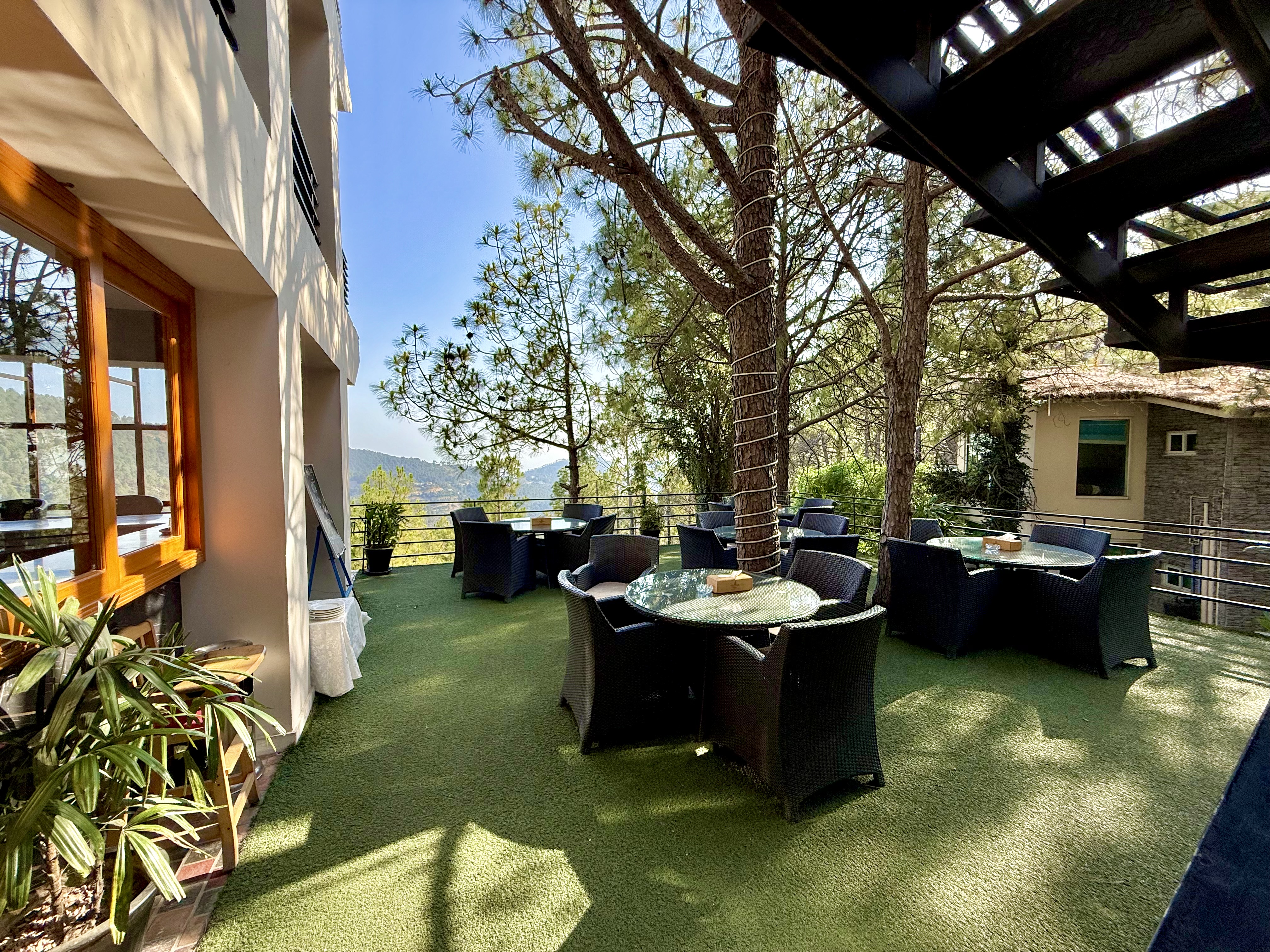 Pine Forest Trails